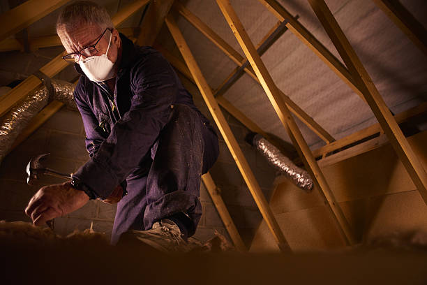 Best Specialty Insulation in Plains, MT